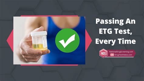 A magnifying glass. . How to pass an etg test in 24 hours